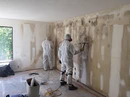 Best Commercial Mold Inspection in Calumet, PA